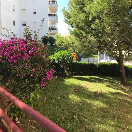 Apartment Vila Fria House